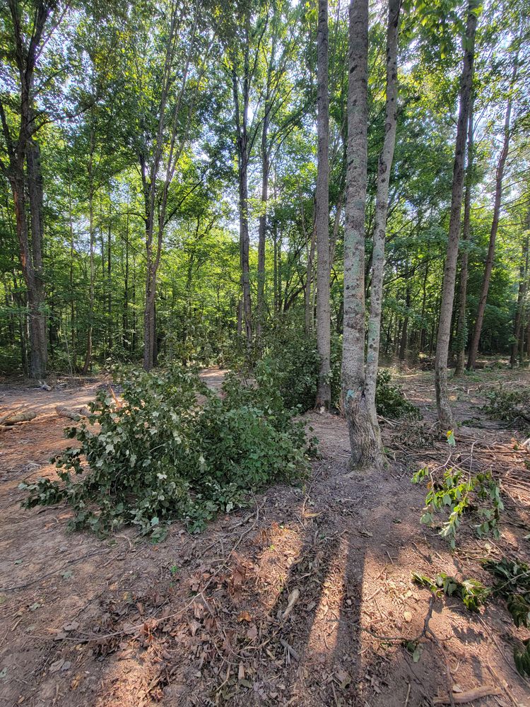 All Photos for Z's Land Management & Forestry Mulching in Smithville, TN