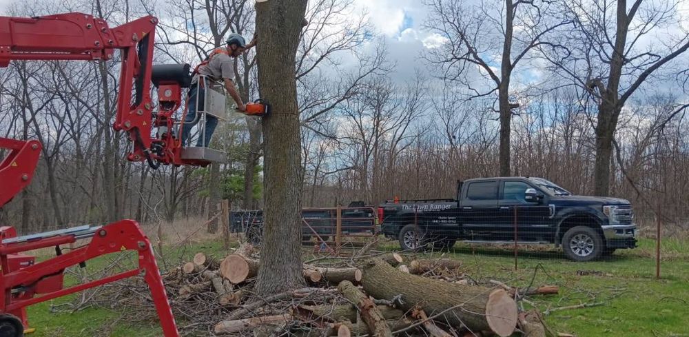 Our Tree Removal service ensures safe and efficient removal of unwanted or hazardous trees, protecting your property while enhancing its appearance. Our skilled team uses advanced equipment for smooth, hassle-free results. for Lawn Ranger Yard And Tree Service in Ottumwa, IA