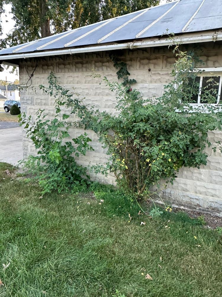 All Photos for OT Lawn and Landscaping LLC in Carey, OH