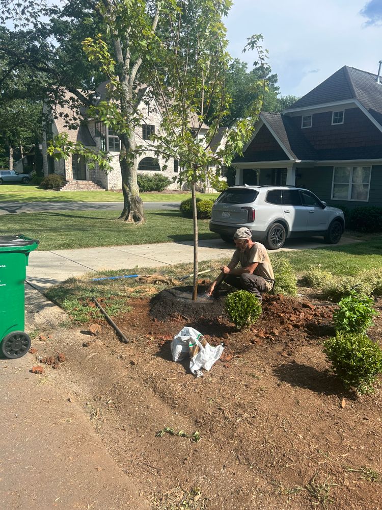 All Photos for Oakhurst Landscaping and Tree Service in Charlotte, NC