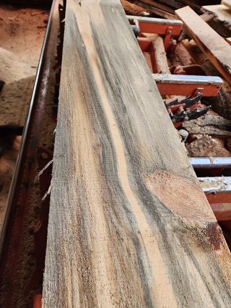 All Photos for The Baskins Sawmill in Port Angeles,  WA