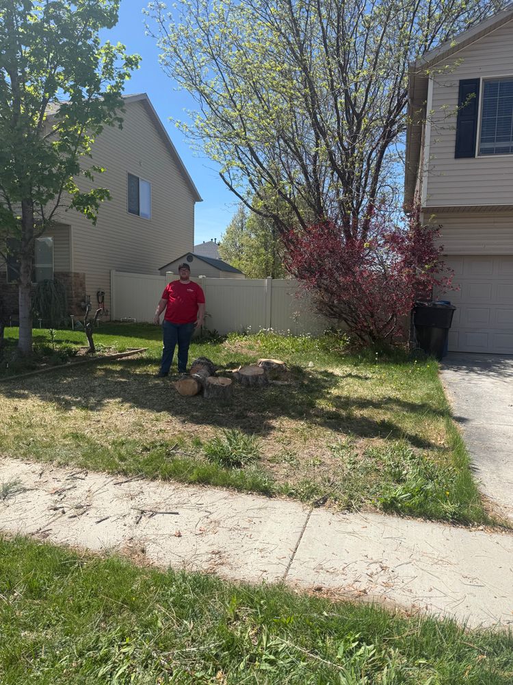 All Photos for Platinum Lawn Service in Santaquin, UT