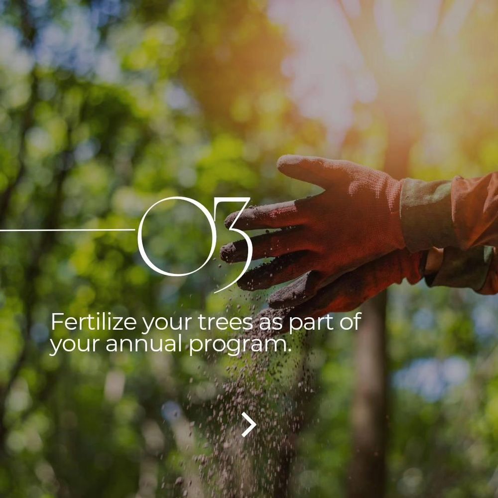 All Photos for Oakwood Tree Removal LLC in Oak Creek,  WI