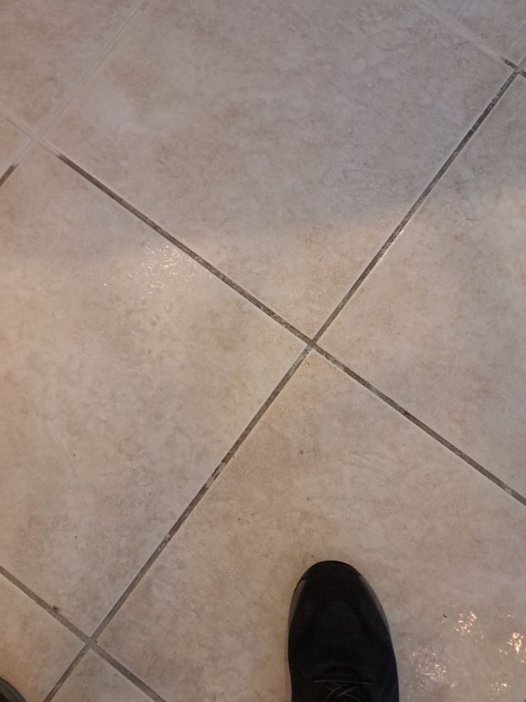 All Photos for Naples Shine Cleaning Solutions LLC in Naples, FL