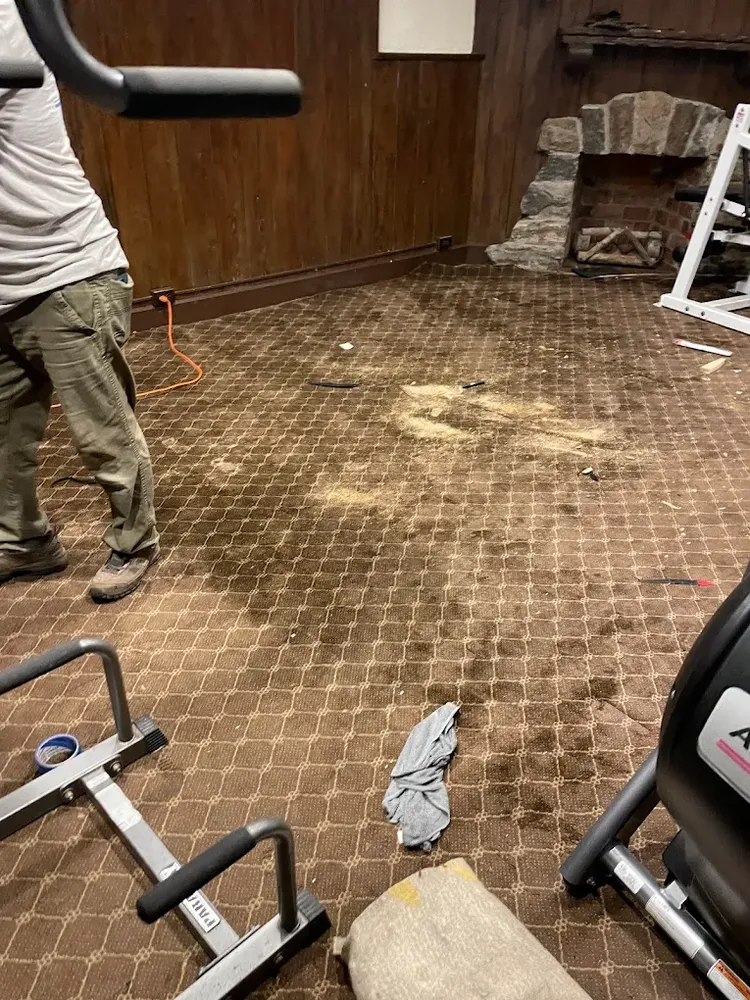 All Photos for CertaClean Restoration in Yonkers, NY