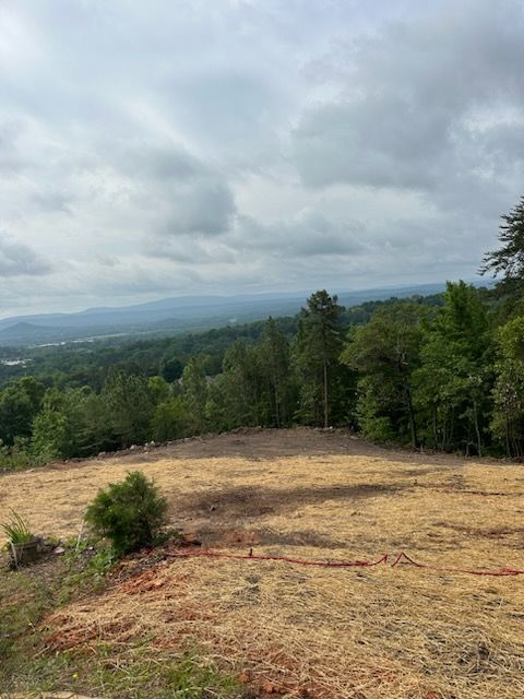 All Photos for A.P Land Management in Atlanta, Ga