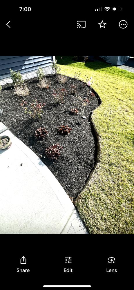 All Photos for Matteo Hardscapes in Towson,  MD