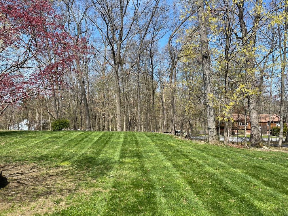 All Photos for Ardisi Property Maintenance LLC in Poughkeepsie, NY 