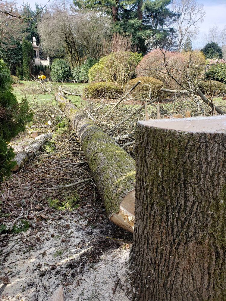 Hardscaping Landscaping for Escobar Landscape & Irrigation in Wilsonvile, OR