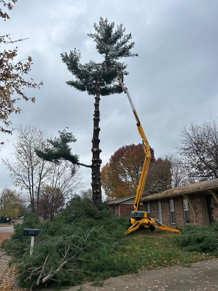 All Photos for Dale's Tree Service in Springdale, AR