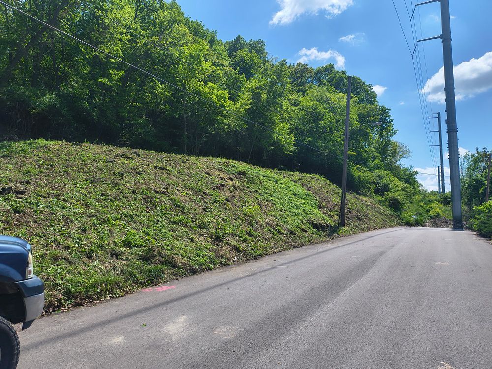 All Photos for Cross Family Tree Service in Kearney, MO