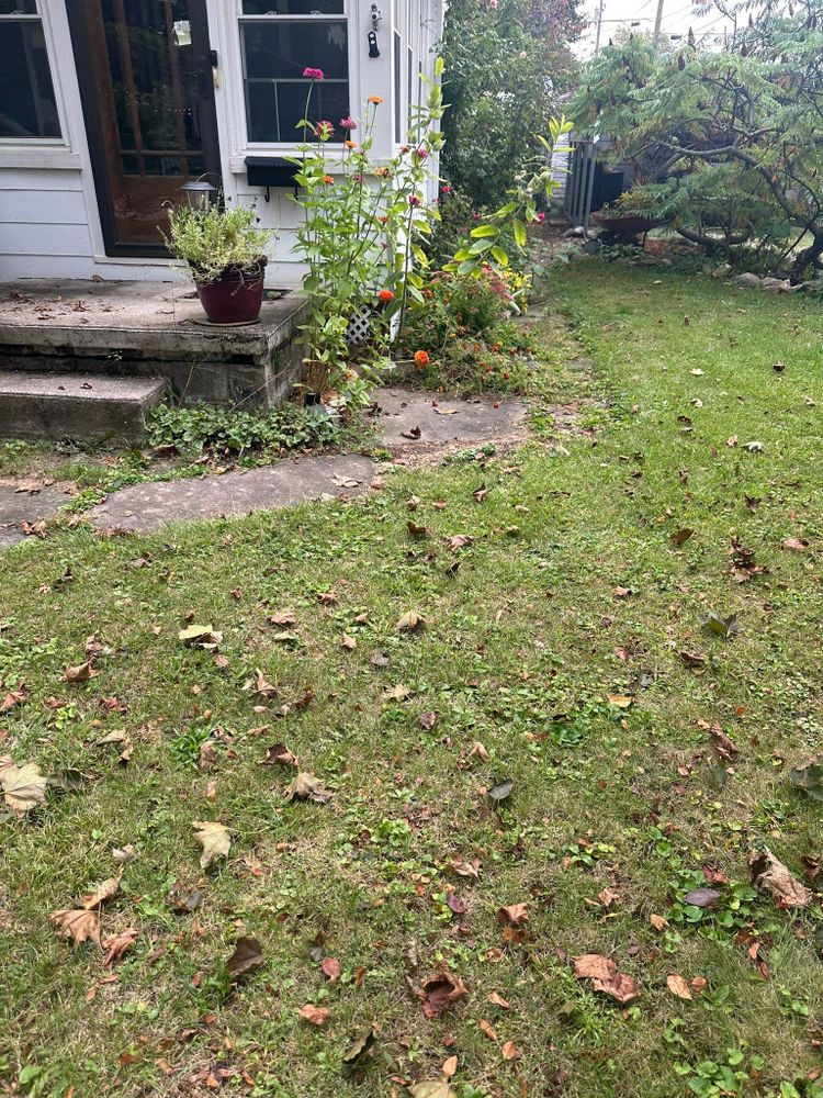 All Photos for OT Lawn and Landscaping LLC in Carey, OH