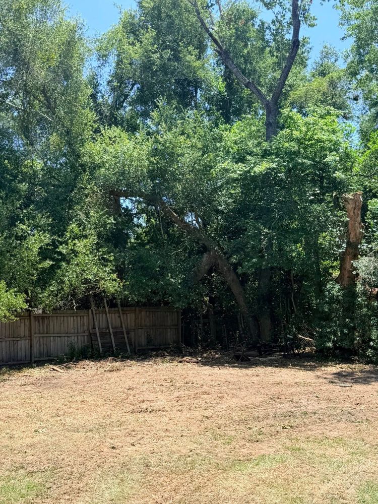 All Photos for All Around Guys Tree Service in Ocala, FL
