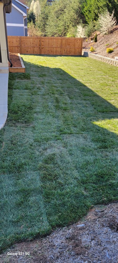 Sod installation  for C4 TrueVision Renovations in Asheville, NC