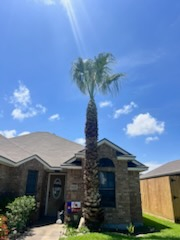 All Photos for Johnnys Pro Cutters in Corpus Christi, TX