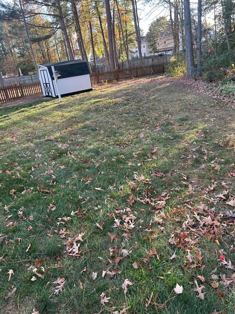 Enhance your outdoor space with our expert landscape and hardscape services. Discover additional offerings designed to beautify and increase the value of your home today! for Morris Contracting in Leonardtown, MD