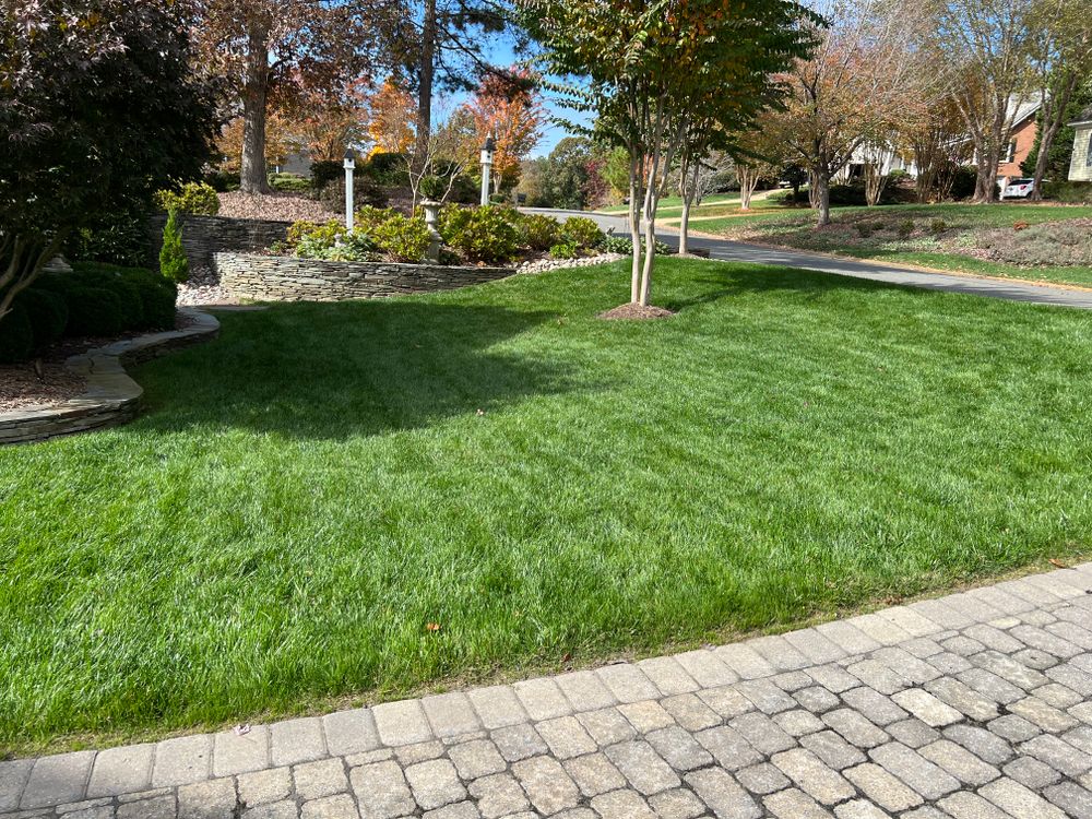 All Photos for KP Landscaping in Williamsburg, VA