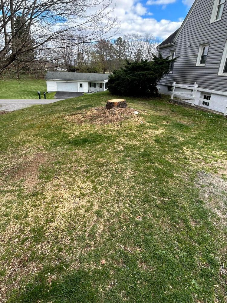 All Photos for NRV Tree Pro, LLC in Narrows, VA