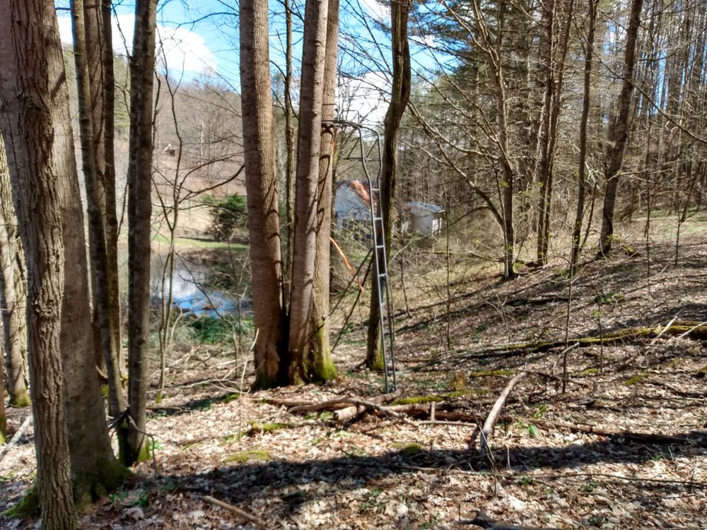 All Photos for Quality Land Management and septic service in Green Mountain, NC