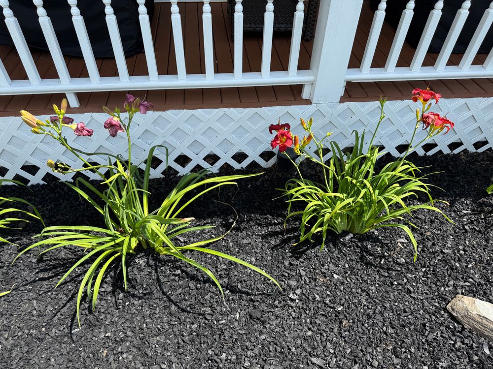 All Photos for Ardisi Property Maintenance LLC in Poughkeepsie, NY 