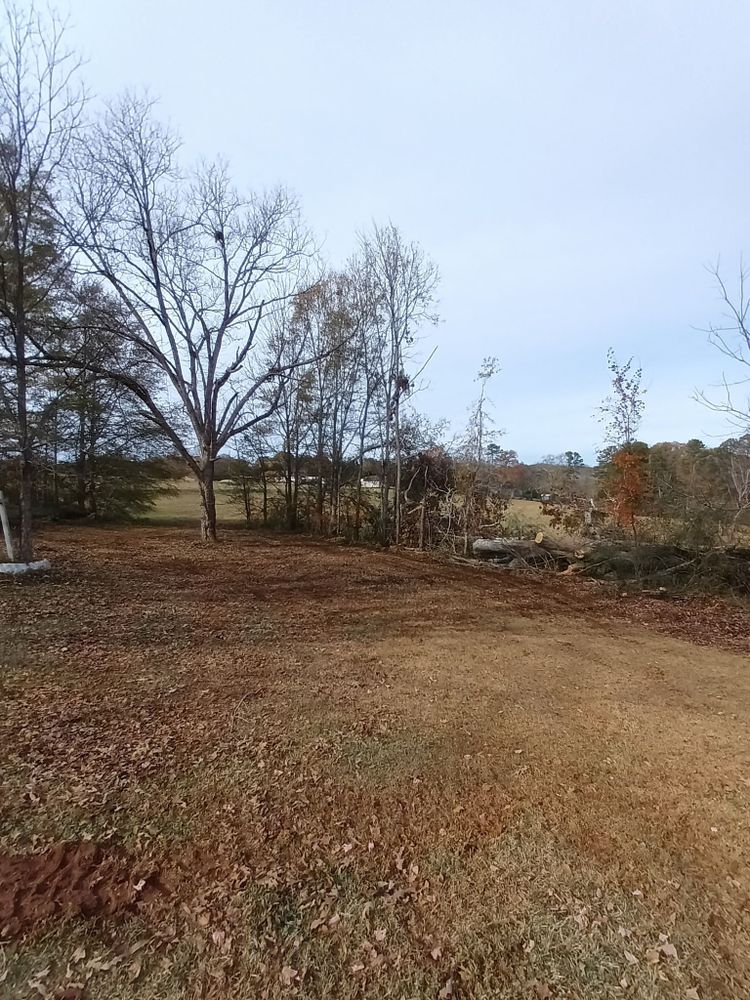 Enhance your home's beauty and safety with our professional tree trimming service. We expertly shape and prune trees, promoting healthy growth while ensuring a neat, aesthetically pleasing landscape for your property. for Goliath Tree Maintenance and Haul Away in Seneca, SC