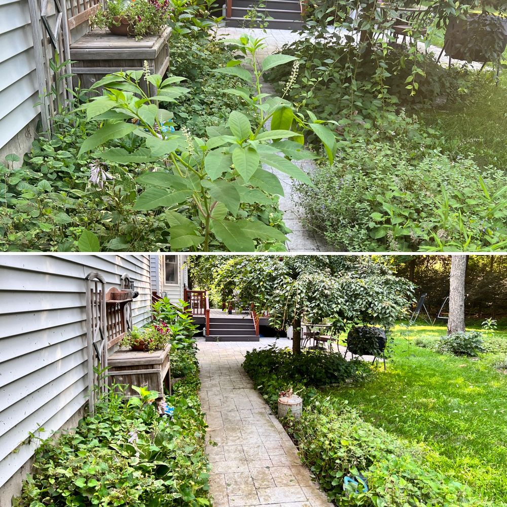 Landscaping for LJ Lawn & Property Maintenance, Inc. in Cold Spring, New York