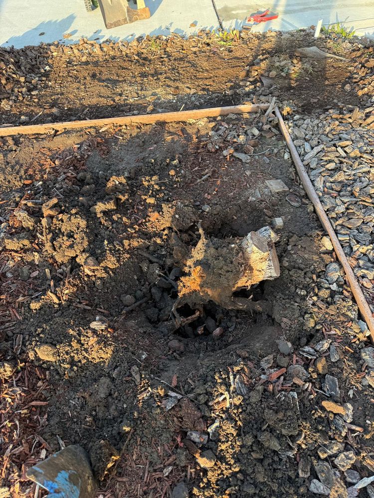 All Photos for CBA Landscaping in Hayward, CA