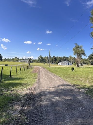 All Photos for Trinity Land Solutions in Brooksville, FL