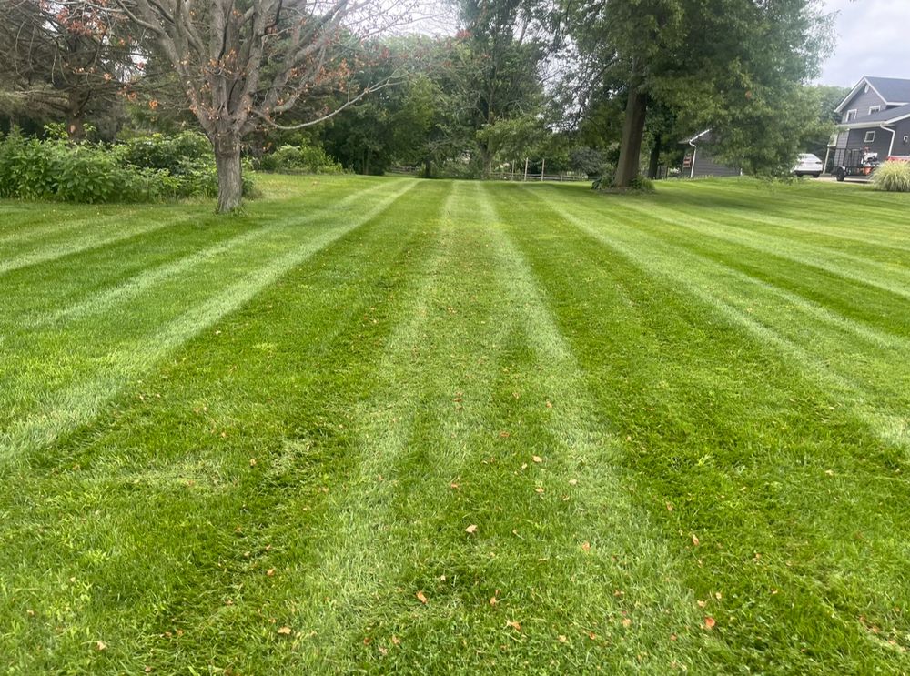 All Photos for Clean Green Lawns LLC in Dayton, OH