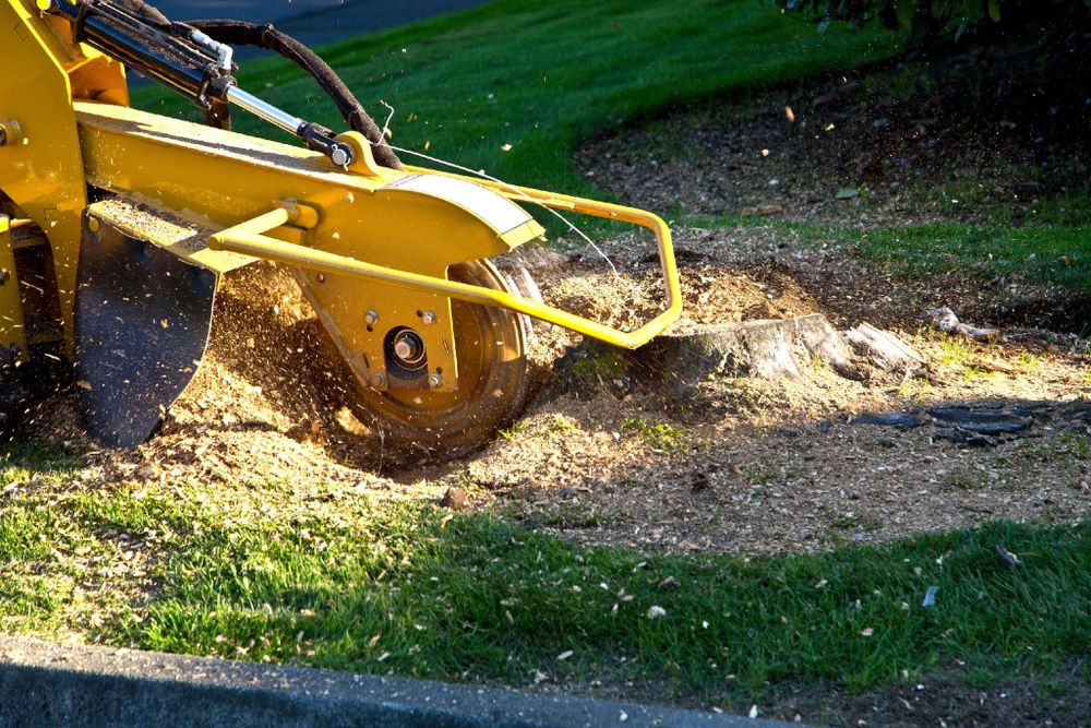 Our professional stump removal service efficiently eliminates unsightly tree stumps from your property, enhancing aesthetics and safety while preventing pest infestations and allowing for smooth landscaping or new planting opportunities. for Down To Earth Tree Service, LLC in Olmsted Falls, OH