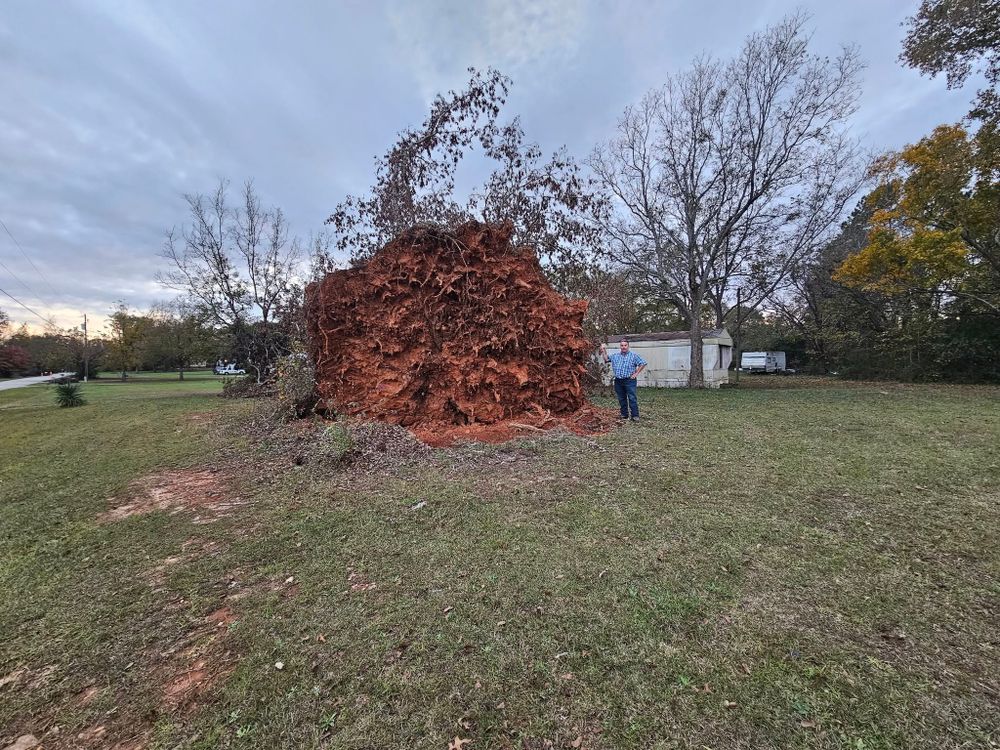 All Photos for D&S Tree and Demolition Services in Laurens, SC