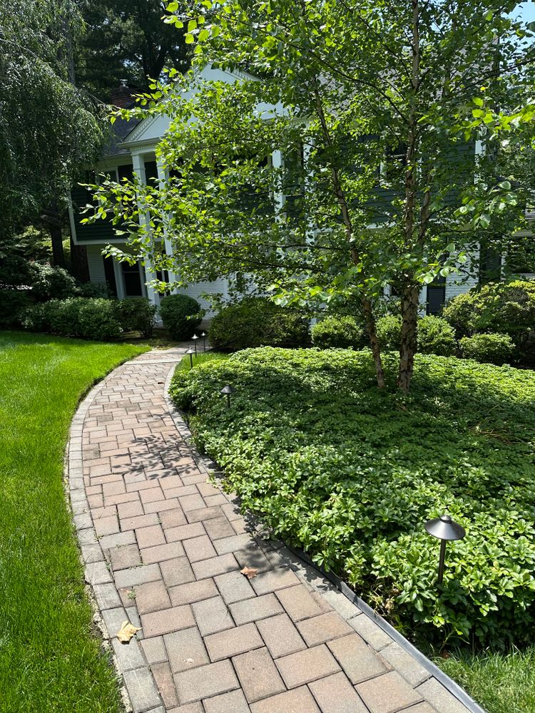 All Photos for Unique Outdoor Lighting in Short Hills, NJ