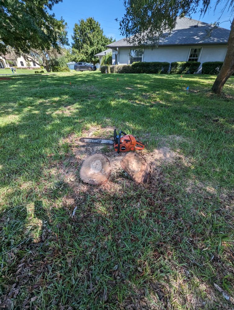 All Photos for Regal Tree Service and Stump Grinding in Wauchula, FL