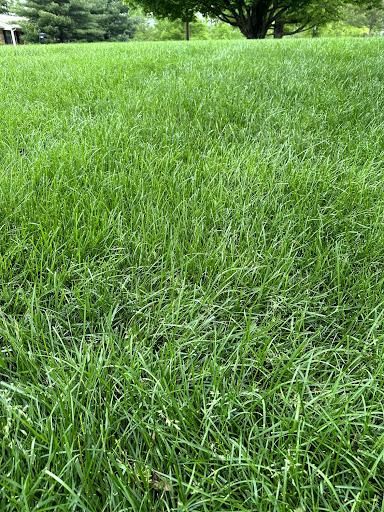 All Photos for JKL Lawn Service in Frankfort, KY