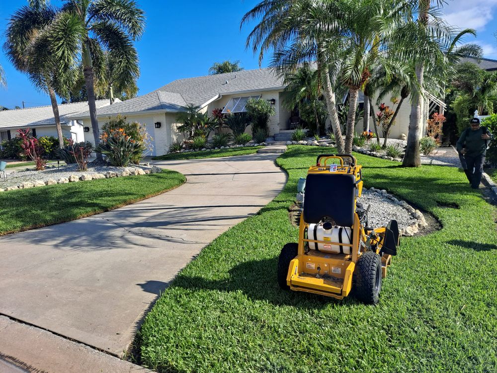 Tree Removal for Sanchez Tree Service in Largo, FL