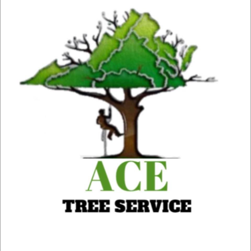 Ace Tree Service  team in Fuquay-Varina, NC - people or person