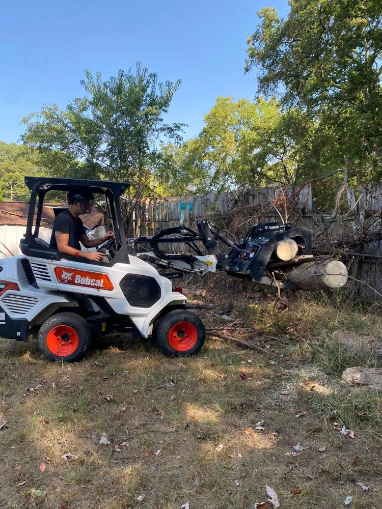 Tree Removal for Huntsville Tree Service in Huntsville, AL