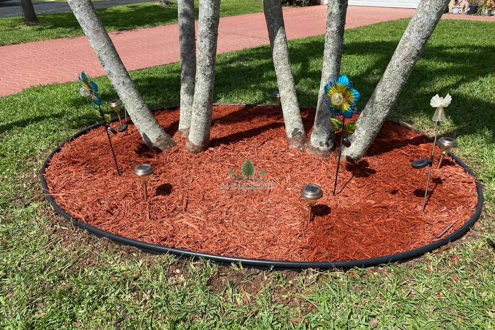 Landscaping for A.C.'s Landscape and Lawn Maintenance in   Coral Springs, FL