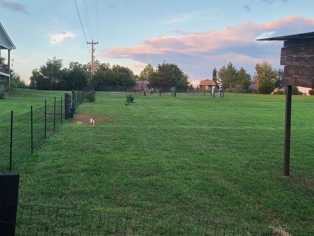 Our livestock fencing service is designed to provide durable, secure boundaries for your animals, ensuring their safety while allowing them to graze freely. Trust our expertise in installing reliable livestock fences. for Paradise Landscaping and Tree Service in Greenville, SC