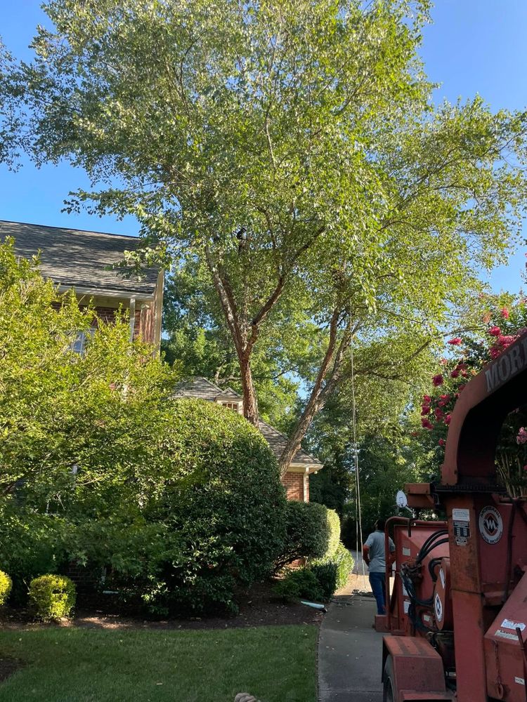 All Photos for J&J Tree Services in Raleigh, NC