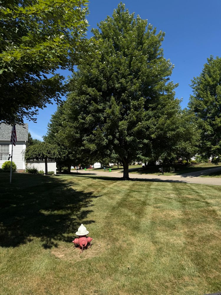 All Photos for Tactical Stripes Lawn care in Uniontown, OH