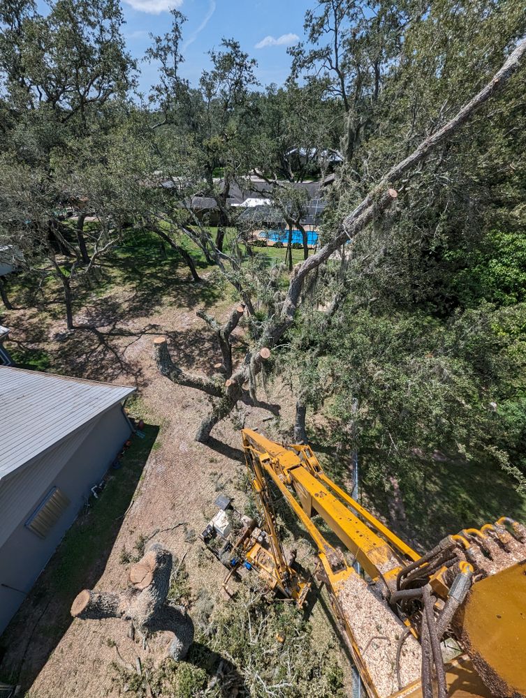 All Photos for Regal Tree Service and Stump Grinding in Wauchula, FL