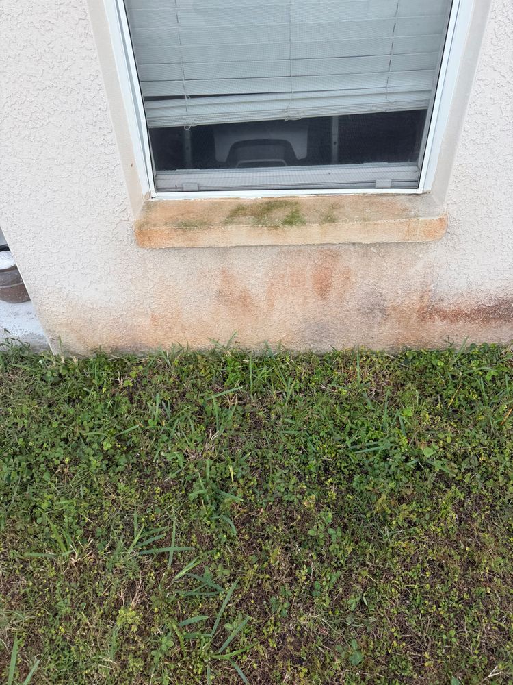 All Photos for The Yardman in Tampa, FL