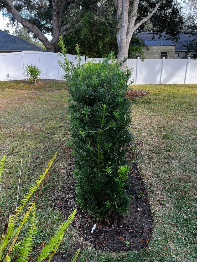 All Photos for Browne’s Yard Creations in Fruitland Park, FL