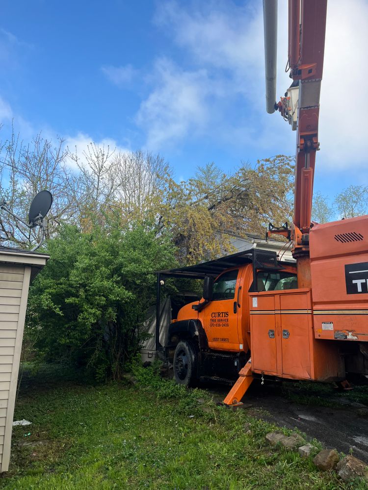 All Photos for Curtis Tree Service LLC in Hopkins County, KY