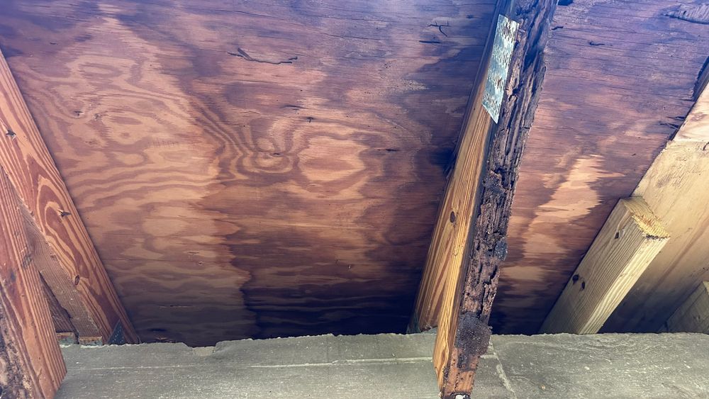 All Photos for Surplus Public Adjusters in Miami-Dade County, FL