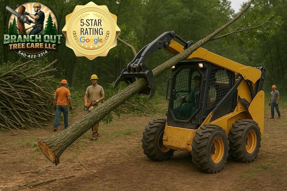 All Photos for Branch Out Tree Care LLC in Fredericksburg, VA