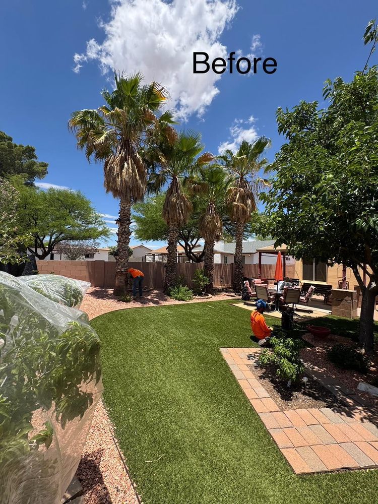 Stump Removal for By Faith Landscaping in Sierra Vista, AZ