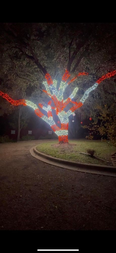 All Photos for Mora’s Lawn Services in Crowley,  TX