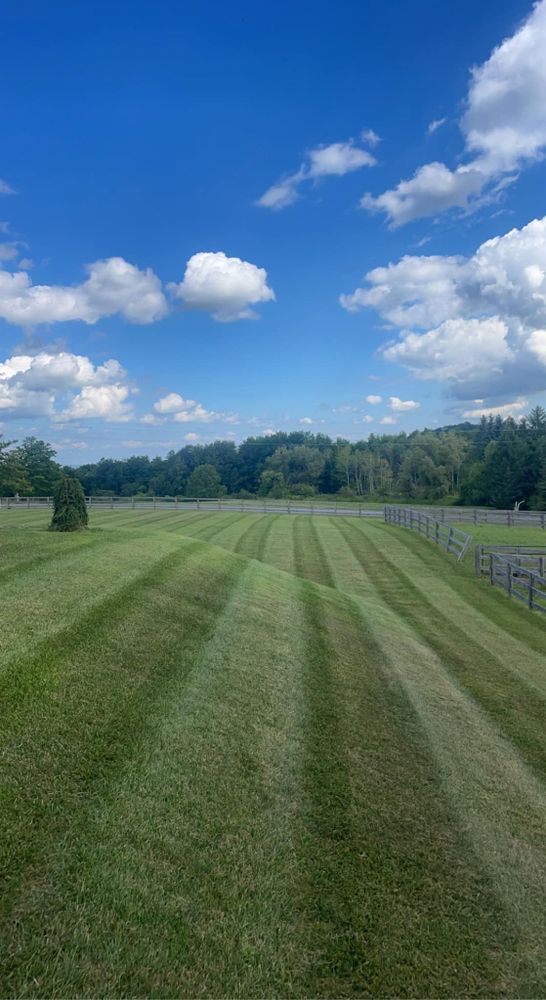 Nothing makes for a better yard than new sod to restart the fresh green look of a property. We offer partial yard and full yard sod layouts. for Puleo Landscape LLC in Chittenango , NY